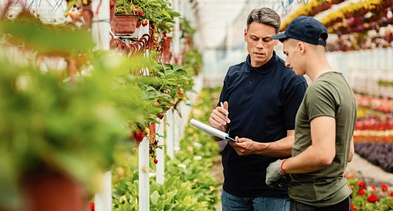 Santé Sécurité au Travail dans l'enseignement agricole