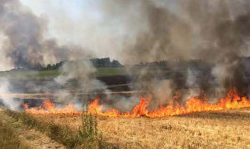 Incendie dans un champ