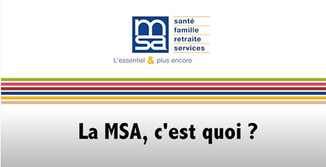 Msa La Msa C Est Quoi